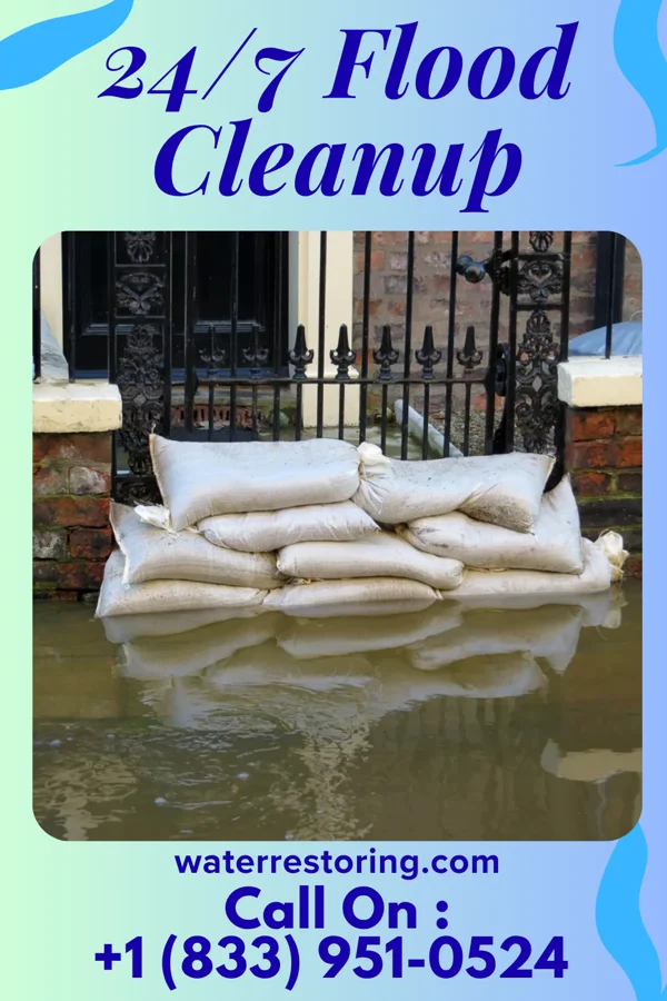 24/7 Flood Cleanup in Forestburg, SD