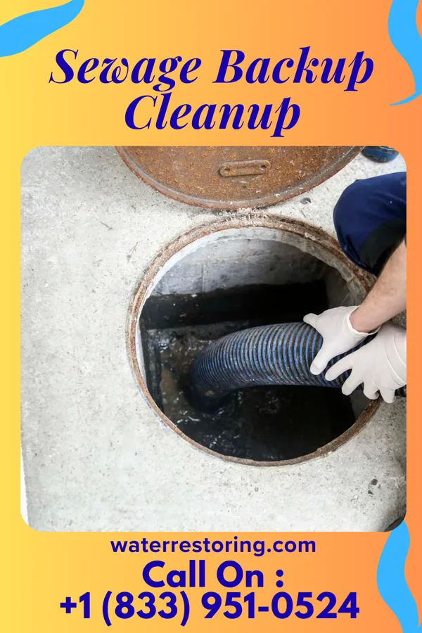 Sewage Backup Cleanup in Forestburg, SD